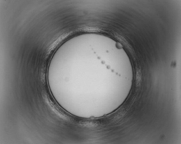 X0000115610533200912011553