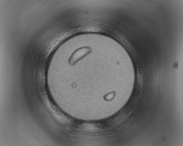 X0000115610534200912011553