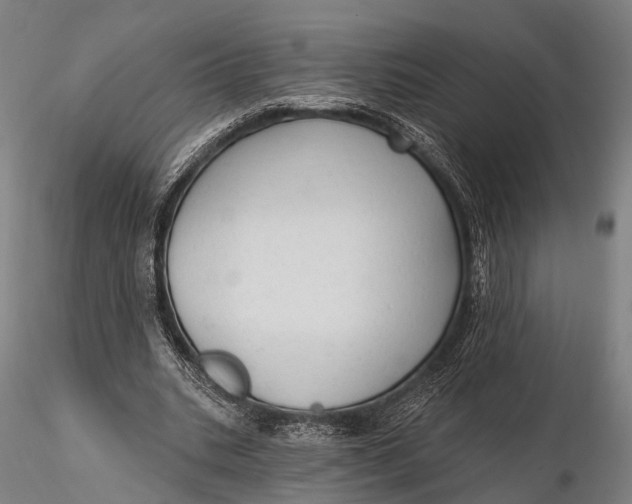 X0000115610535200912011553
