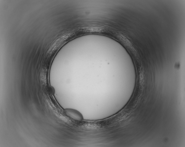 X0000115610537200912011553