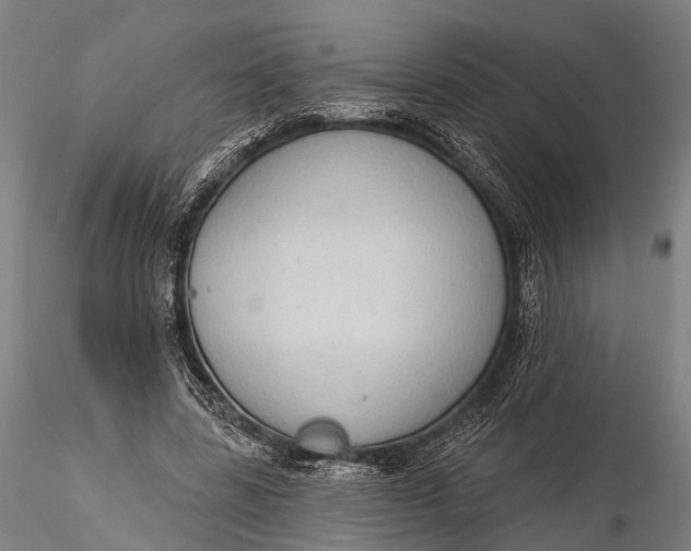 X0000115610539200912011553