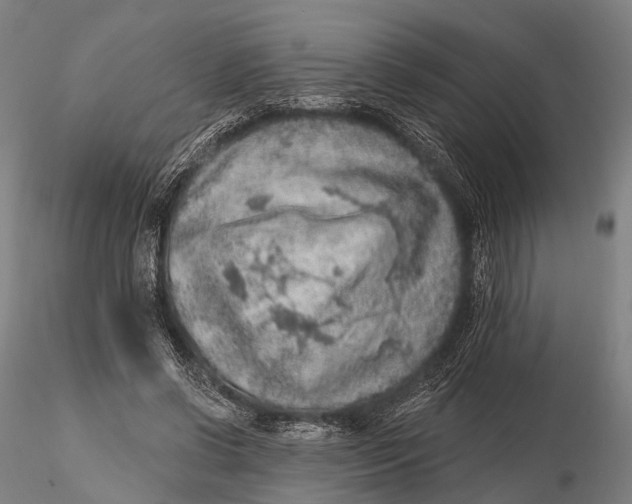 X0000115610542200912011553