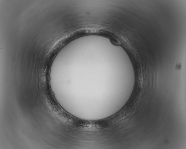 X0000115610543200912011553