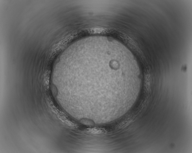 X0000115610545200912011553