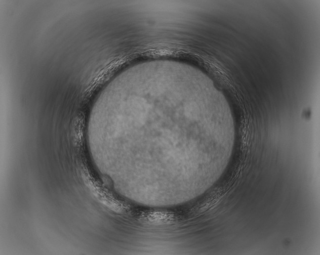 X0000115610546200912011553