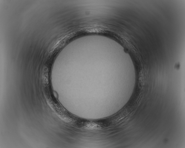 X0000115610547200912011553
