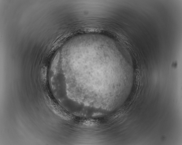 X0000115610550200912011553