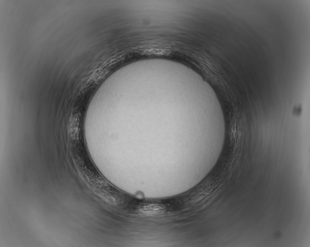 X0000115610551200912011553