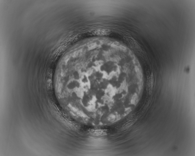 X0000115610553200912011553
