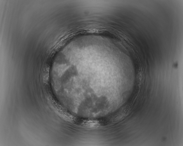 X0000115610554200912011553