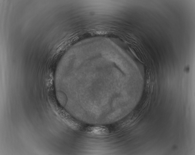 X0000115610555200912011553