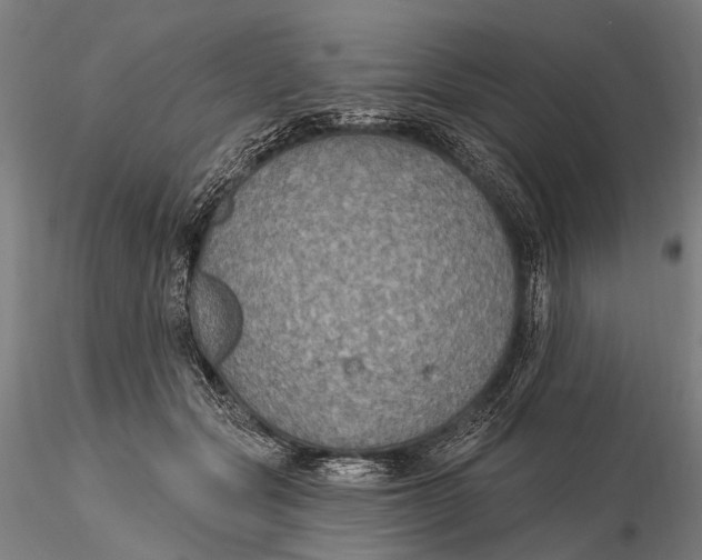 X0000115610557200912011553