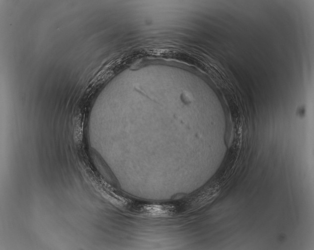 X0000115610558200912011553
