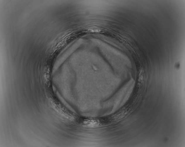 X0000115610559200912011553