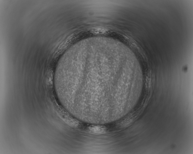 X0000115610561200912011553