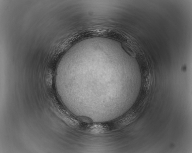 X0000115610562200912011553
