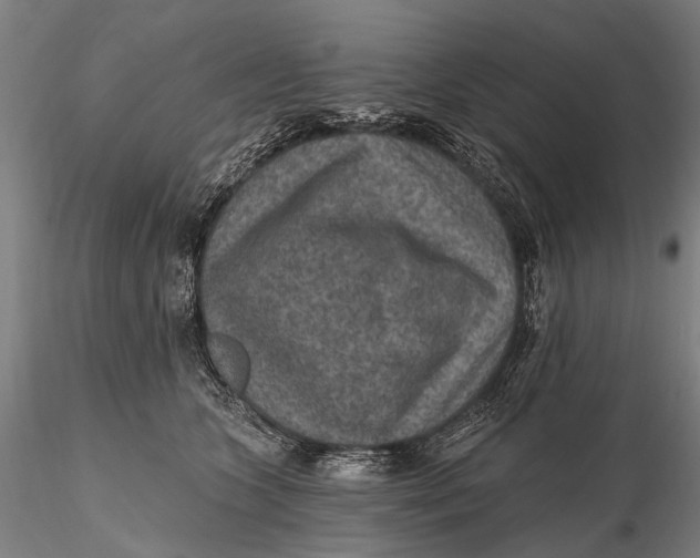 X0000115610563200912011554