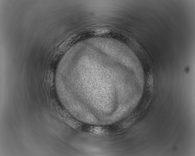 X0000115610565200912011554