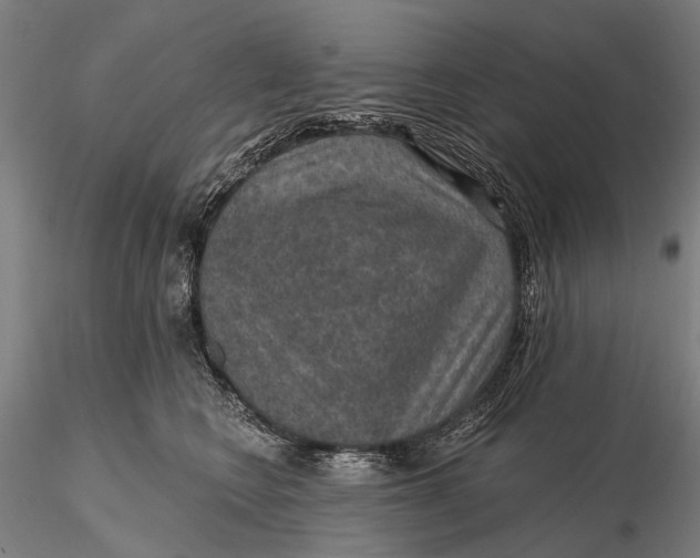 X0000115610566200912011554