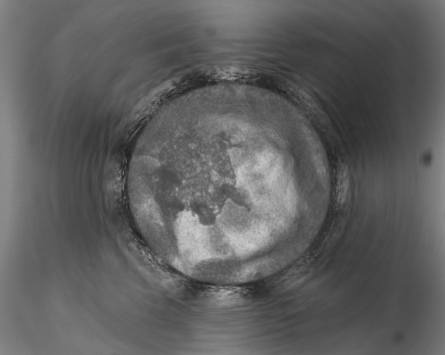X0000115610569200912011554