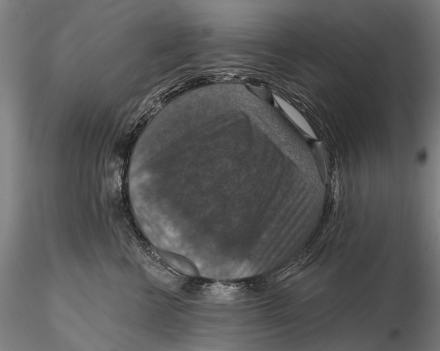 X0000115610570200912011554