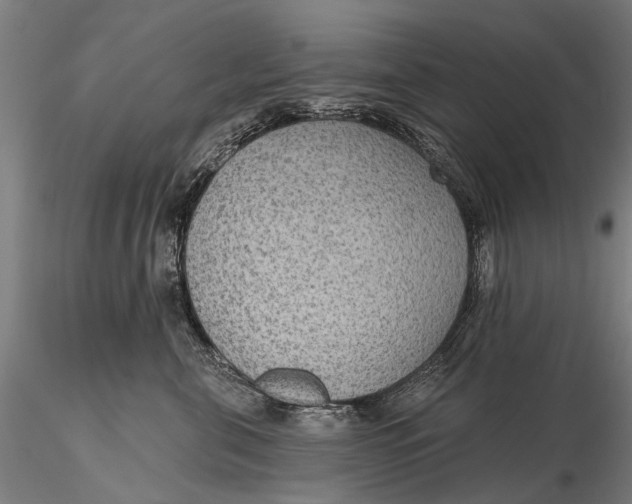 X0000115610571200912011554