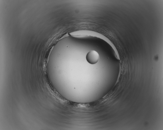 X0000115610573200912011554