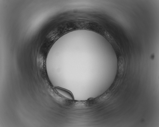 X0000115610574200912011554