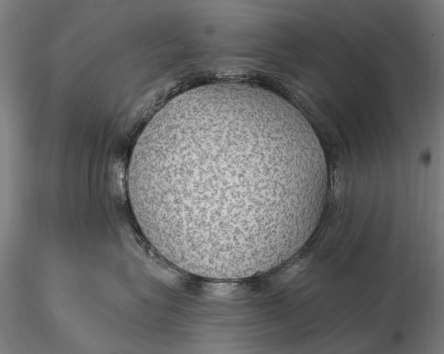 X0000115610575200912011554
