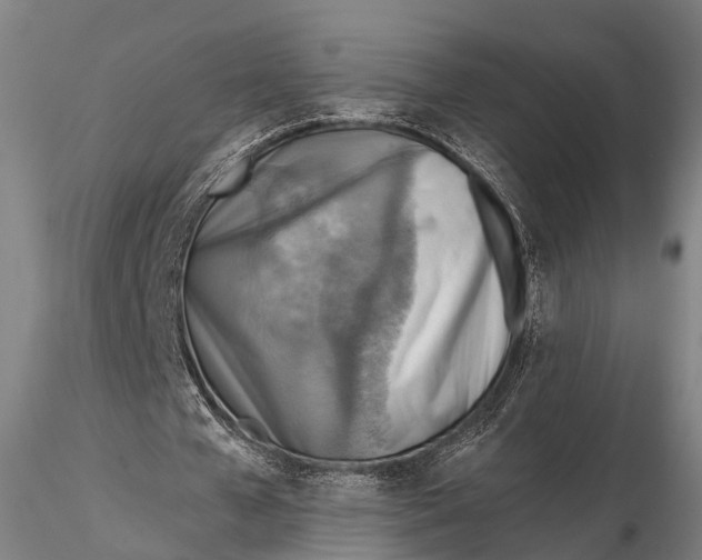X0000115610577200912011553