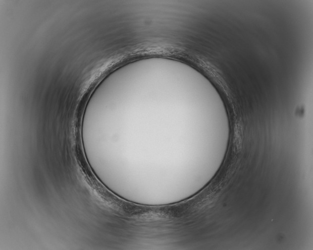 X0000115610578200912011553