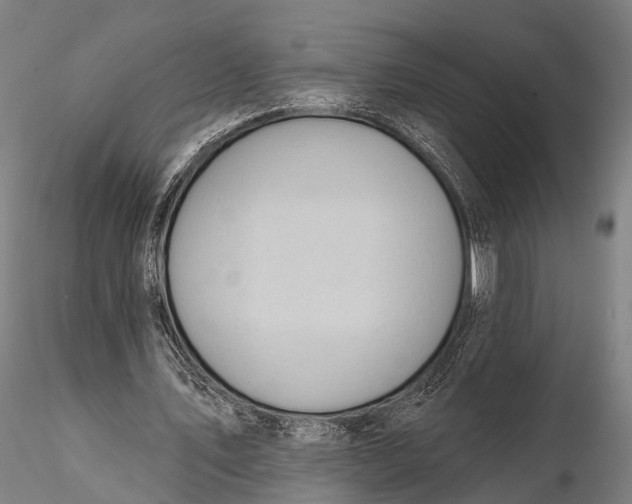 X0000115610579200912011553