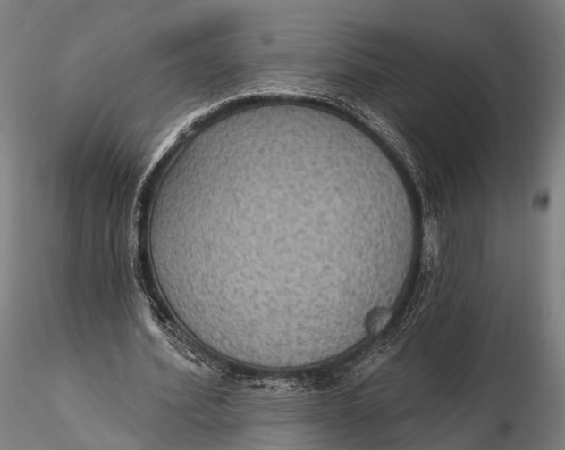 X0000115610580200912011553