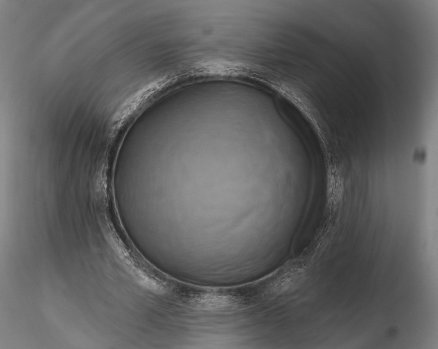 X0000115610581200912011553