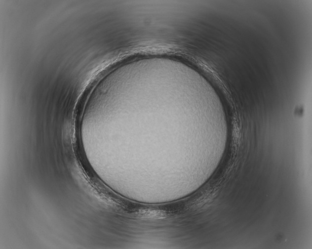 X0000115610582200912011553
