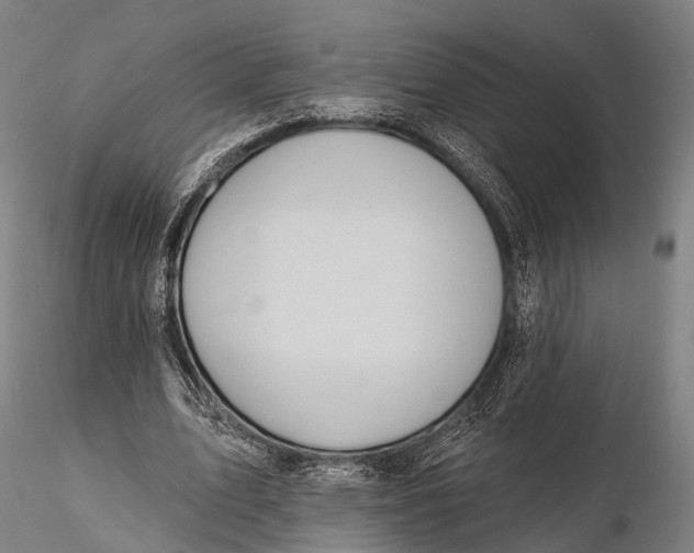 X0000115610583200912011553