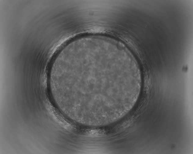 X0000115610584200912011553
