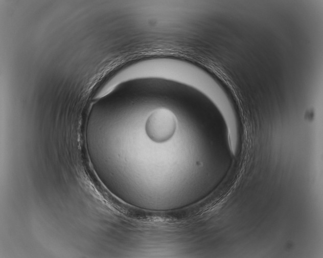 X0000115610585200912011553
