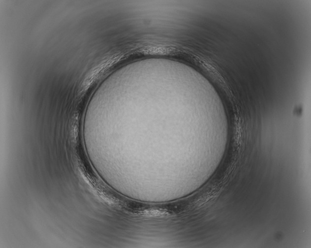 X0000115610586200912011553