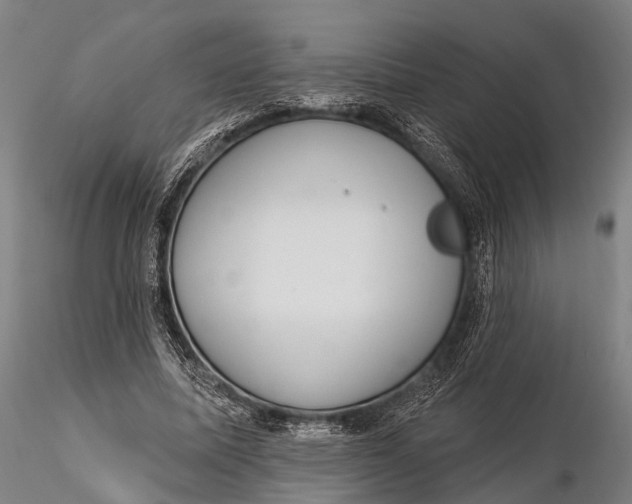 X0000115610587200912011553