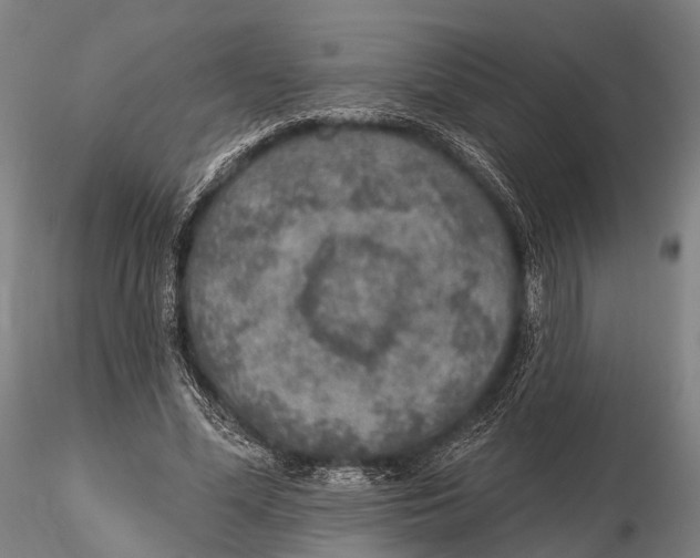 X0000115610588200912011553