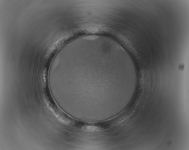 X0000115610590200912011553