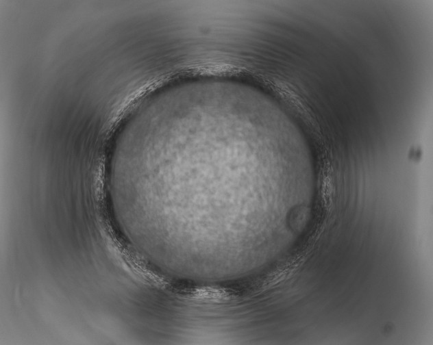 X0000115610591200912011553