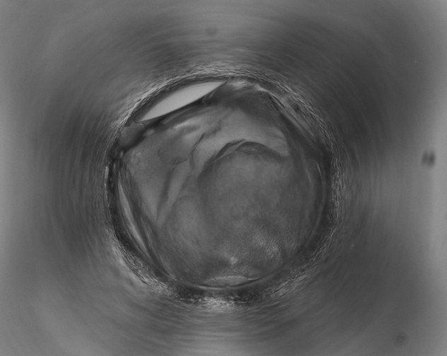 X0000115610592200912011553