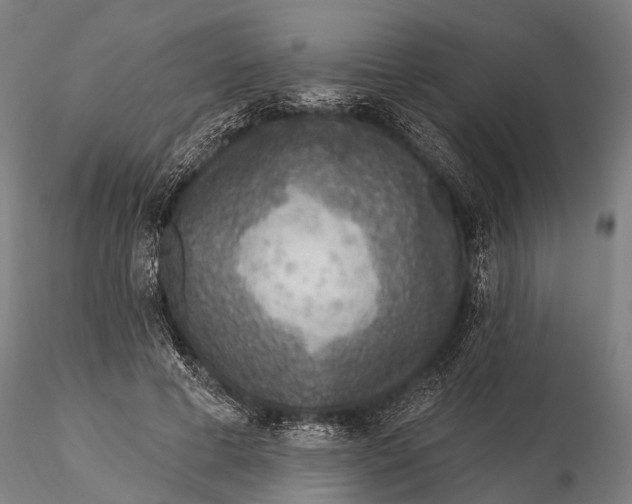 X0000115610593200912011553