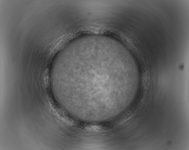 X0000115610594200912011553