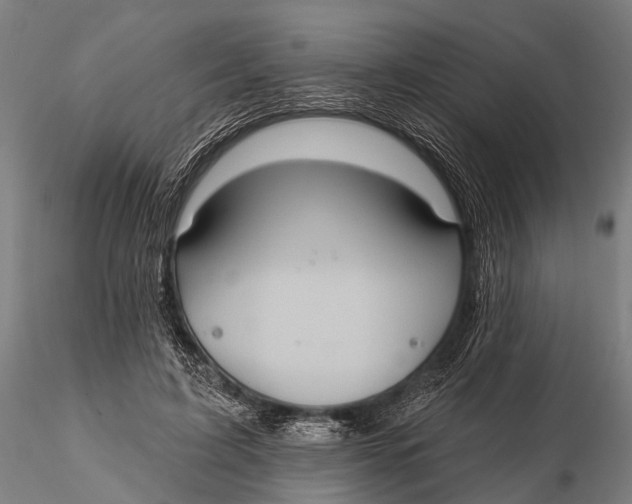 X0000115610595200912011553