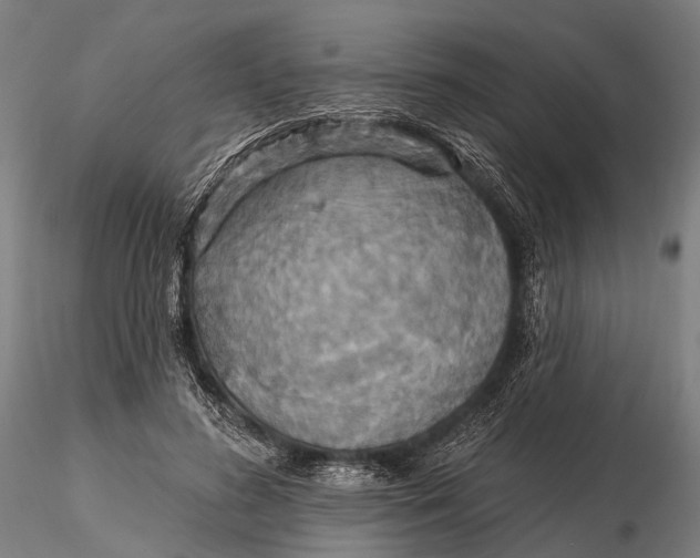 X0000115610596200912011553