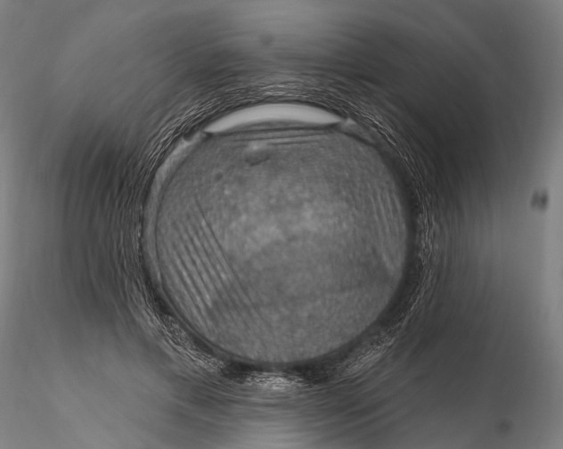X0000115610597200912011553