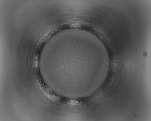 X0000115610598200912011553